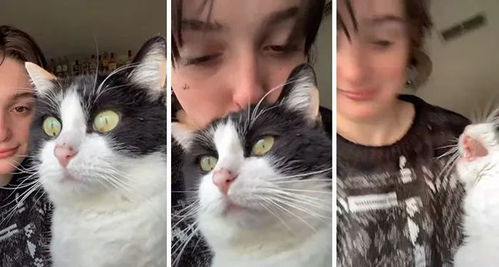 (亲猫咪的嘴巴没事吧)“亲吻猫咪嘴巴的注意事项：这样做对猫咪健康有影响吗？”