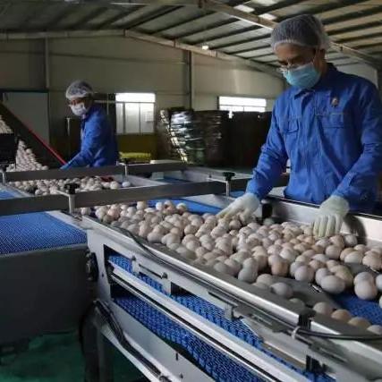 (华为云电脑怎么样?)了解华为云电脑官网，探索云上办公的未来！