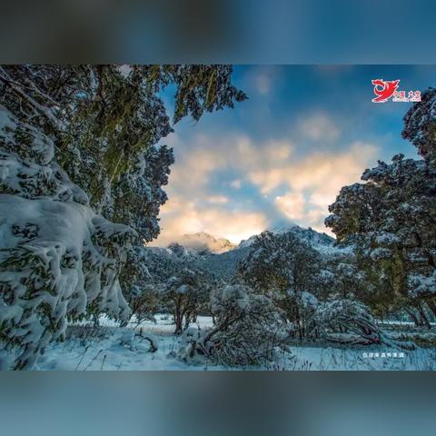 (非凡探险家系列)探寻非凡冒险之心的秘密:如何运用它来挑战极限和突破困境 (非凡探险家系列)探寻非凡冒险之心的秘密:如何运用它来挑战极限和突破困境