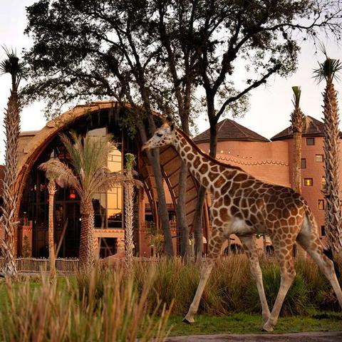 (小屋王国)免费领取王小屋的屋屋无限金币版游戏,无尽金币等你来挑战 (小屋王国)免费领取王小屋的屋屋无限金币版游戏,无尽金币等你来挑战