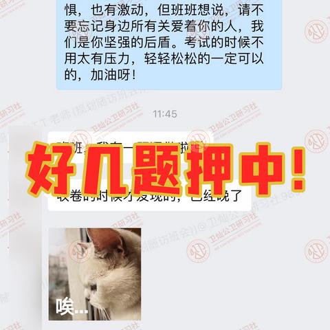 澳门三码期期准100%最新消息|探索神秘古镇的魅力与风情_手机集.2.15
