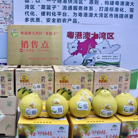 澳门高手论坛com最新|探秘美丽的海岛风情_梦幻版APP.0.682