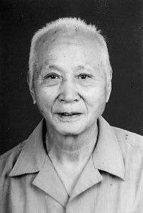 刘伯温四肖中的人物特点|综合分析解释落实_专业款.1.882